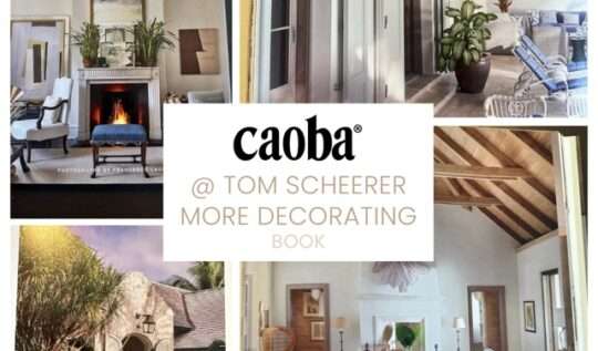 TOM SCHEERER: MORE DECORATING BOOK